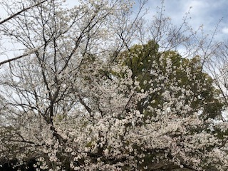 IMG_0397.jpg