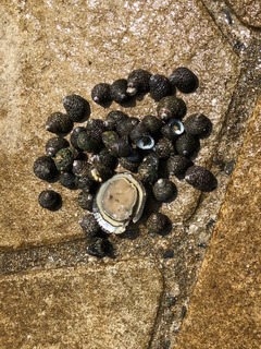 IMG_0685.jpg